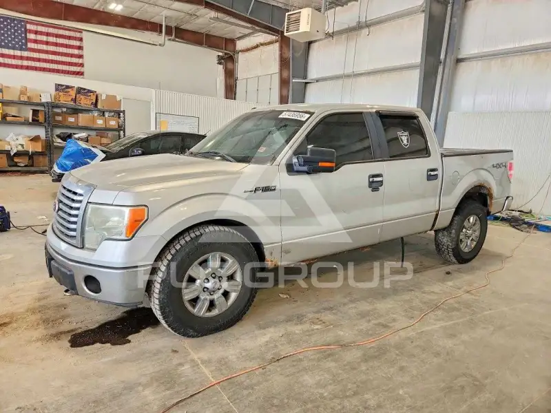 2010 Ford F-150 photo