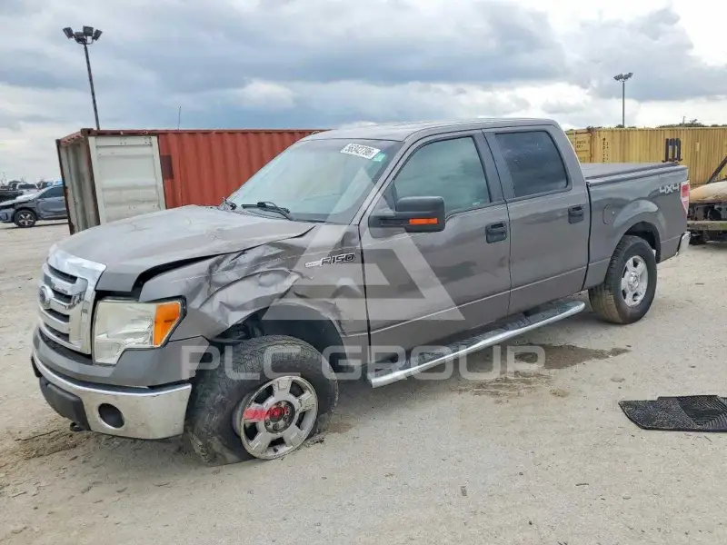2010 Ford F-150 photo