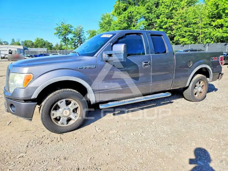 2010 Ford F-150 photo