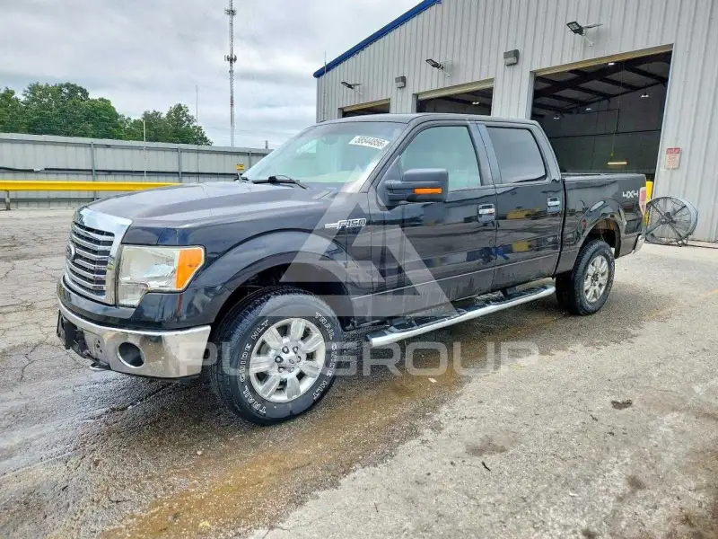 2010 Ford F-150 photo