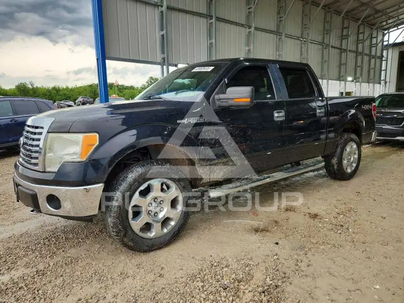 2010 Ford F-150 photo