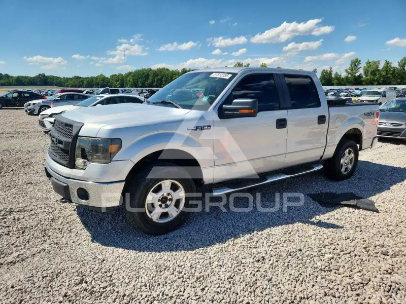 2010 Ford F-150 photo