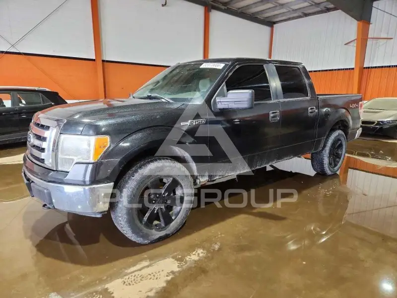 2010 Ford F-150 фото