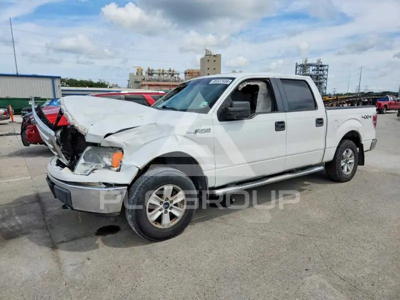 2010 Ford F-150 photo