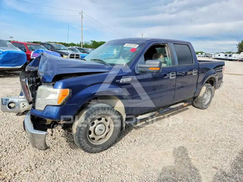 2010 Ford F-150 photo