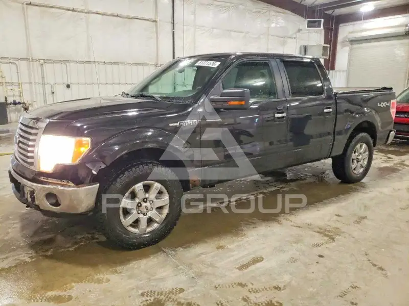 2010 Ford F-150 фото