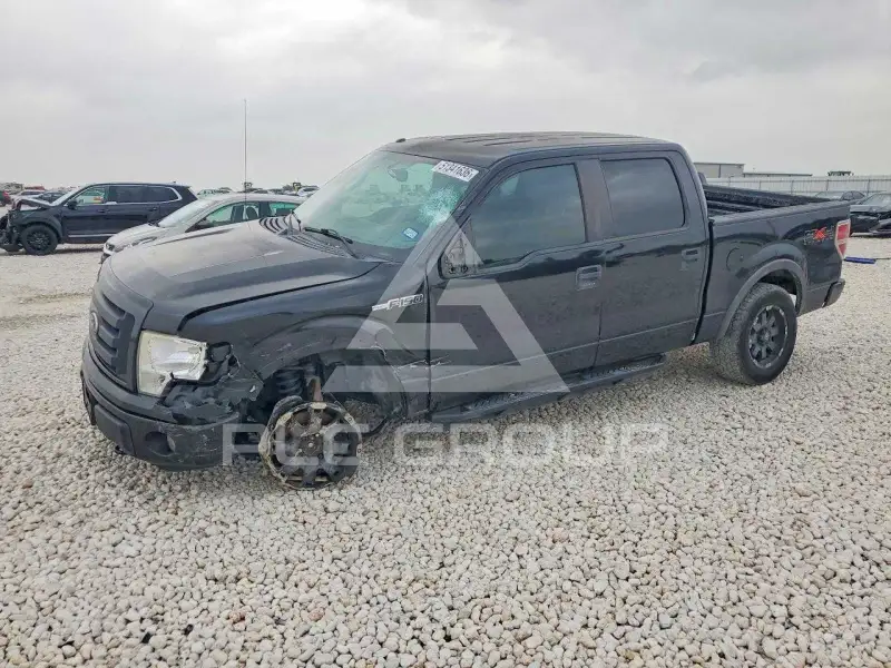 2010 Ford F-150 photo