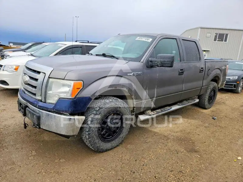 2010 Ford F-150 photo