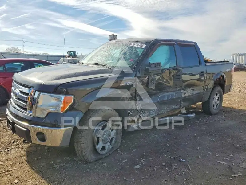 2010 Ford F-150 фото