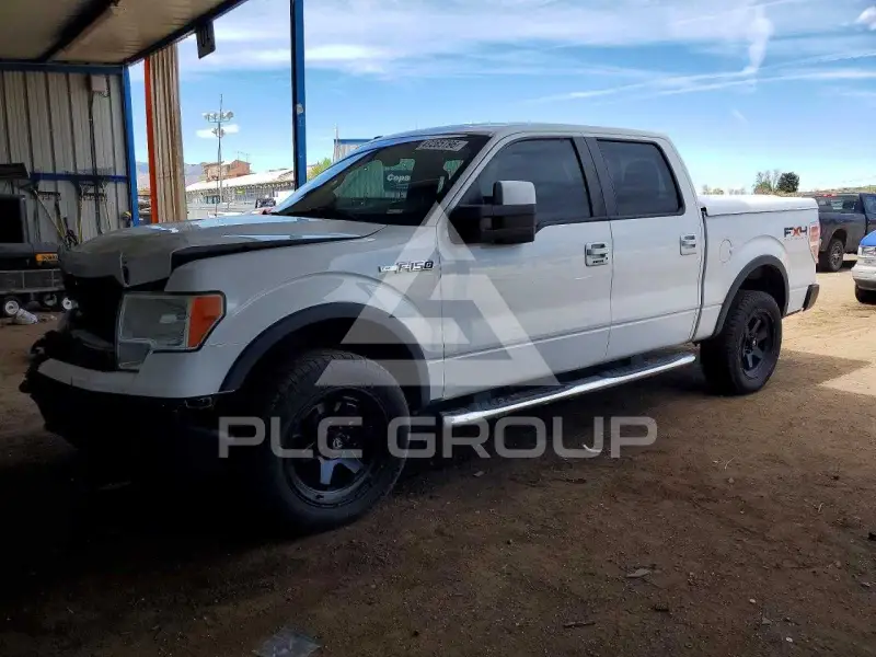 2010 Ford F-150 photo