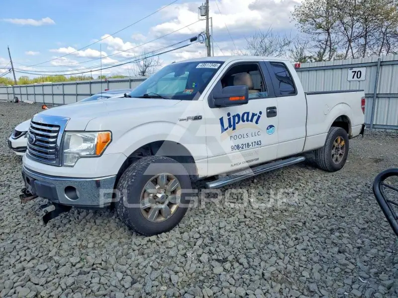 2010 Ford F-150 фото