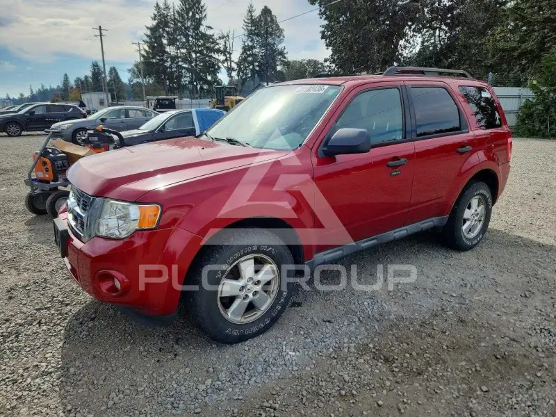 2010 Ford ESCAPE photo