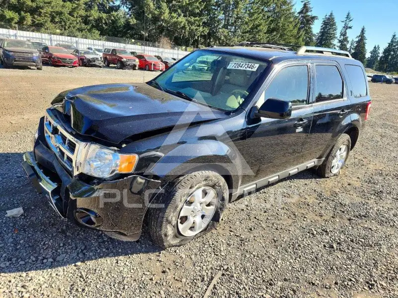 2010 Ford ESCAPE фото