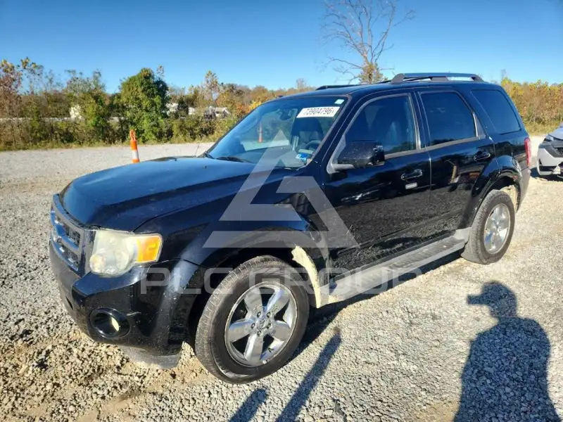 2010 Ford ESCAPE фото