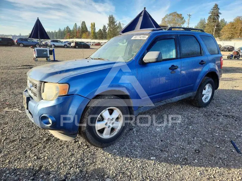 2010 Ford ESCAPE фото