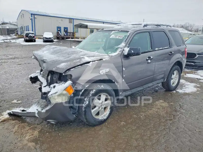 2010 Ford ESCAPE фото
