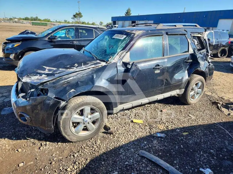 2010 Ford ESCAPE фото