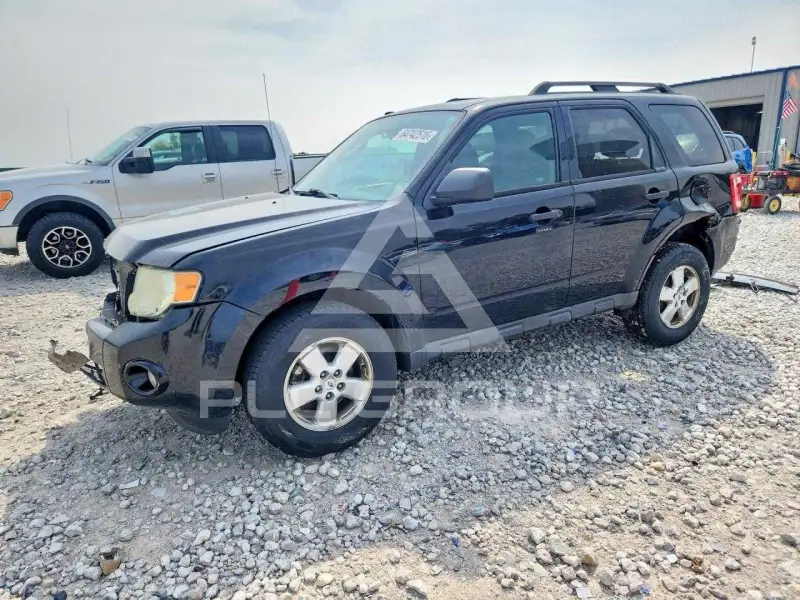 2010 Ford ESCAPE фото