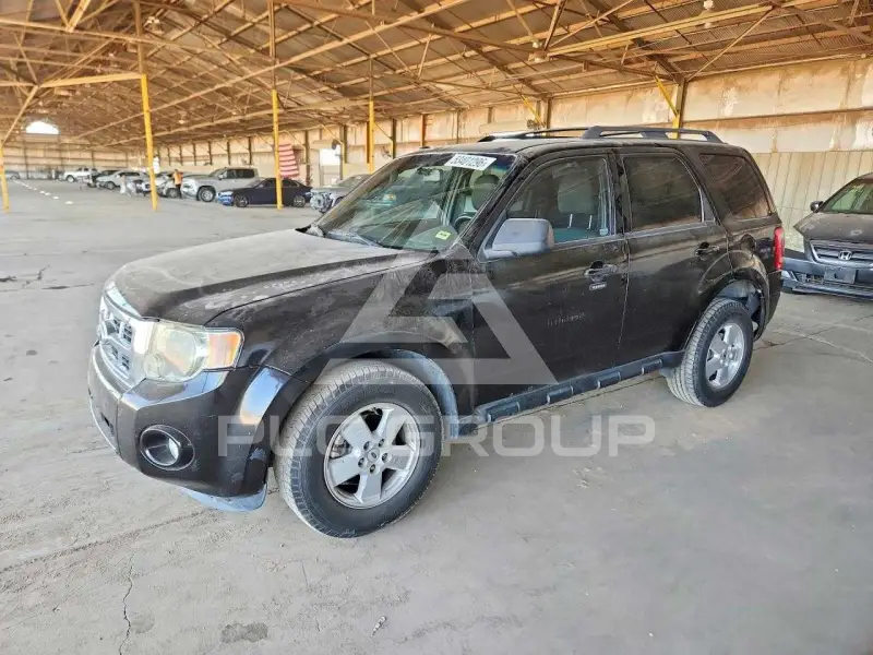 2010 Ford ESCAPE фото