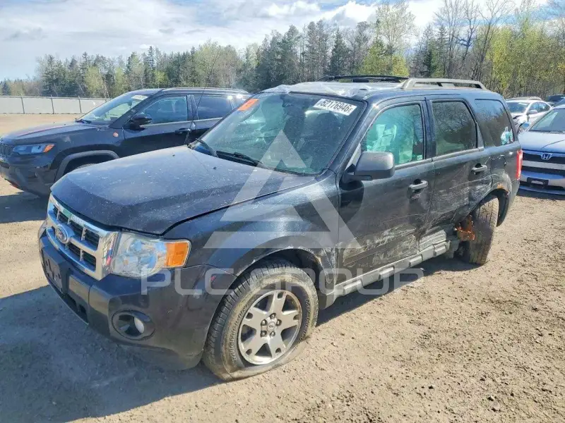 2010 Ford ESCAPE photo