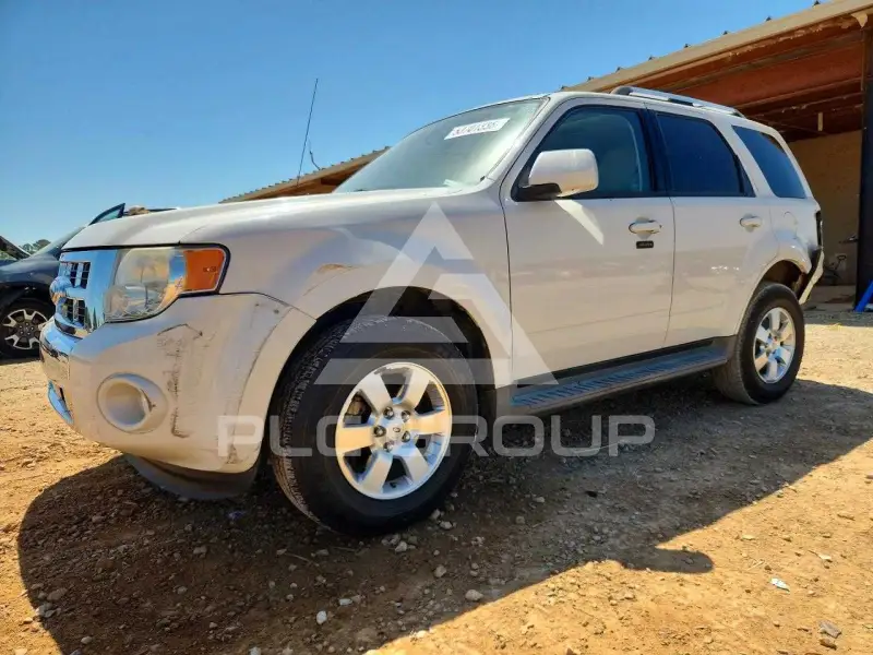 2010 Ford ESCAPE фото