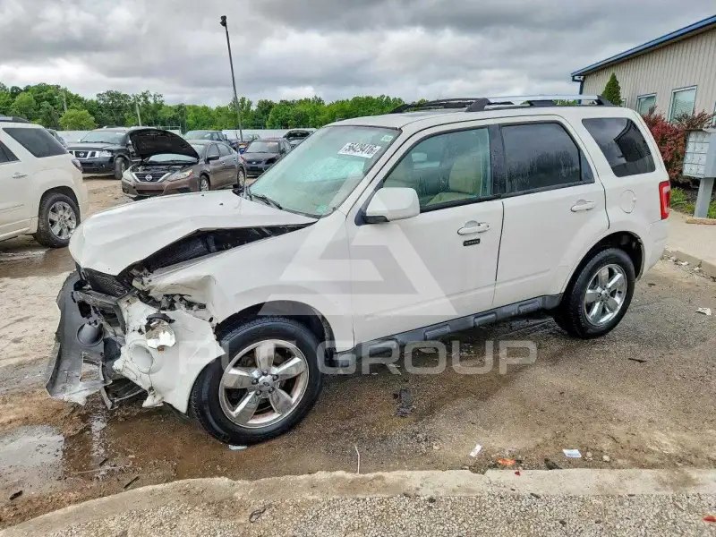 2010 Ford ESCAPE фото