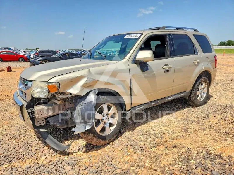 2010 Ford ESCAPE фото