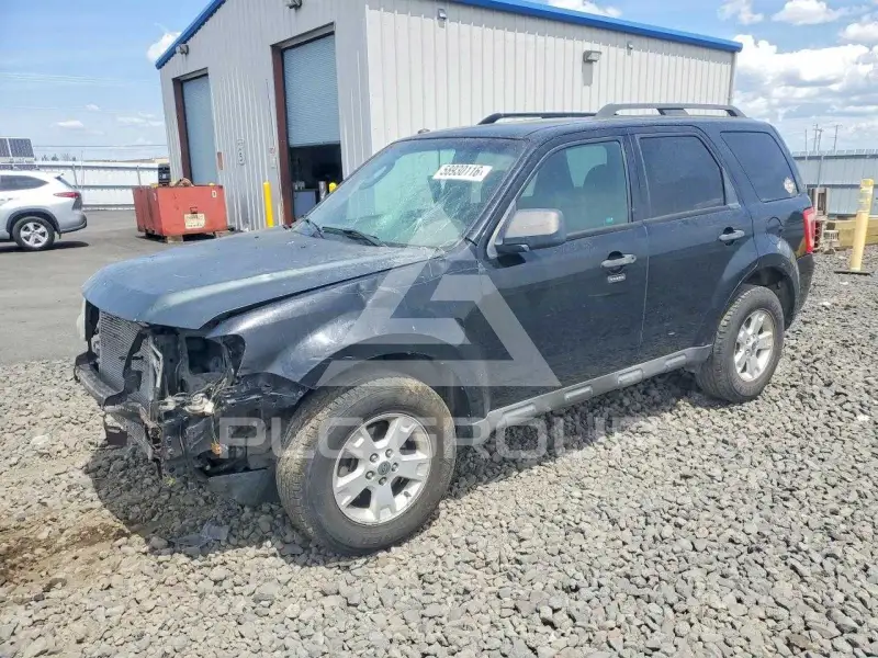 2010 Ford ESCAPE фото