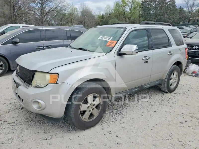2010 Ford ESCAPE photo