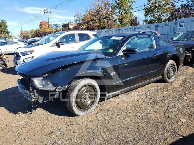 2010 Ford MUSTANG фото