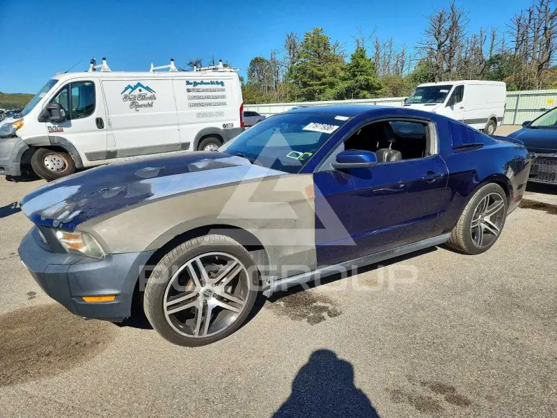 2010 Ford MUSTANG фото