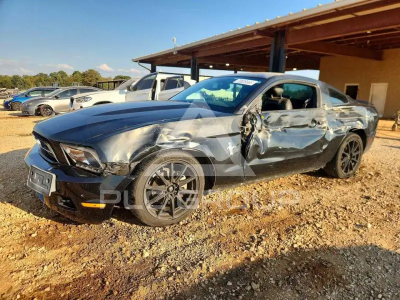 2010 Ford MUSTANG photo