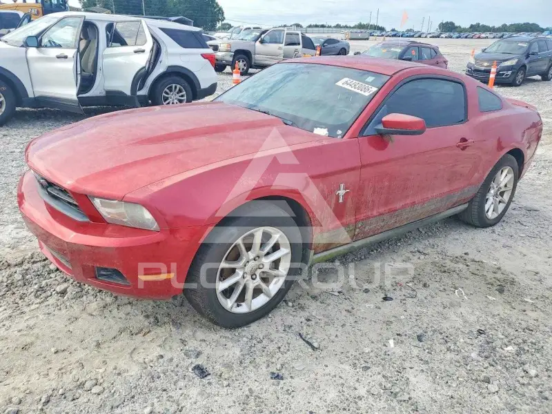 2010 Ford MUSTANG фото