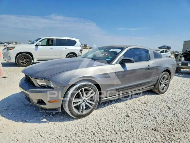 2010 Ford MUSTANG фото