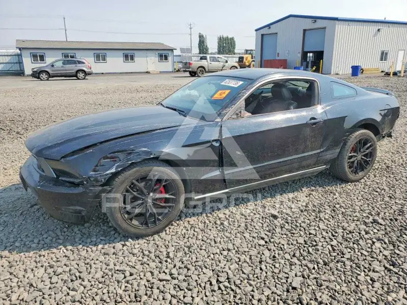 2010 Ford MUSTANG фото