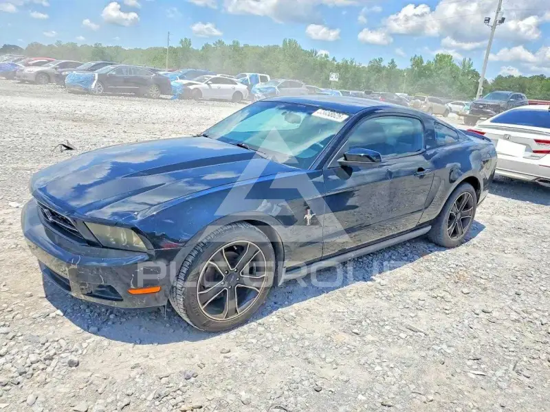 2010 Ford MUSTANG photo