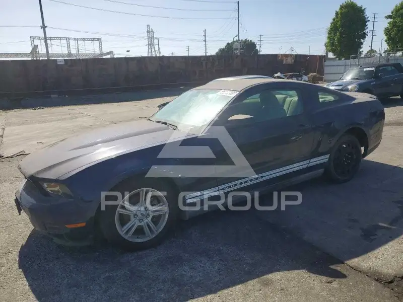 2010 Ford MUSTANG фото