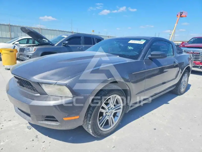 2010 Ford MUSTANG фото