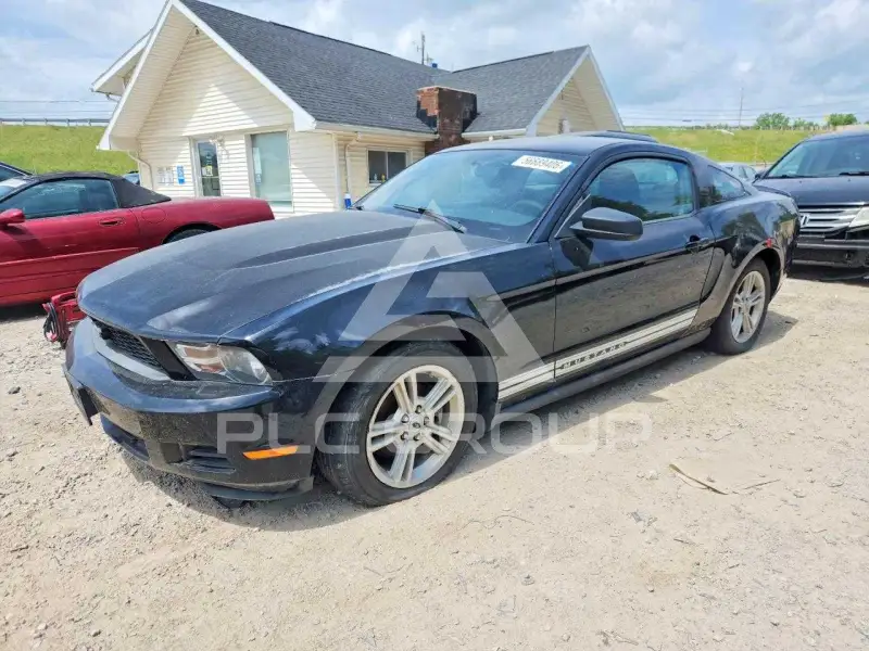 2010 Ford MUSTANG фото