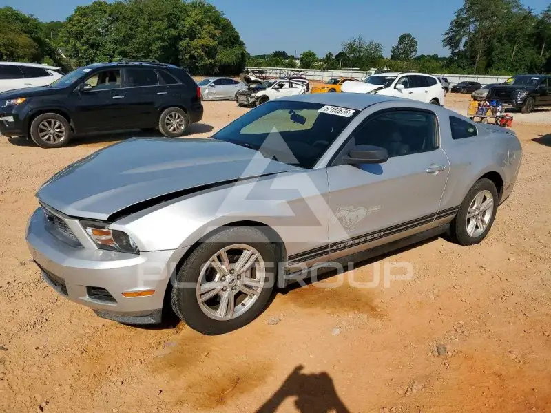 2010 Ford MUSTANG фото