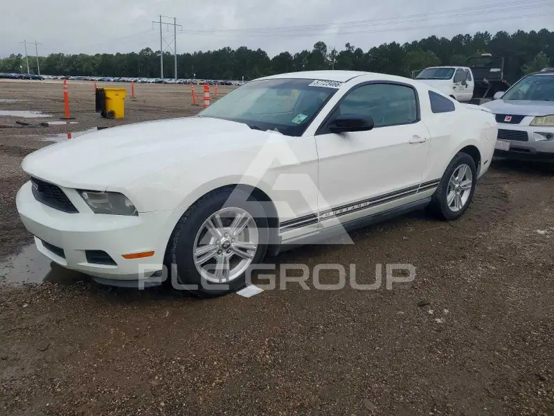 2010 Ford MUSTANG photo