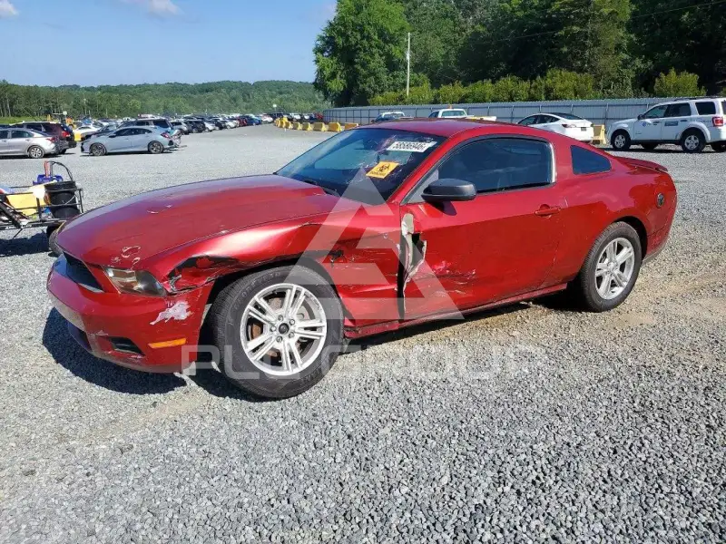 2010 Ford MUSTANG фото