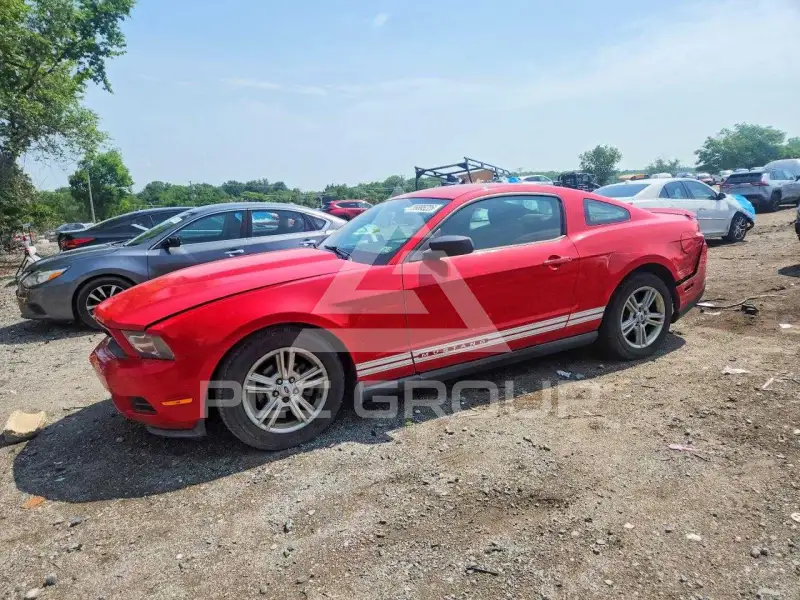 2010 Ford MUSTANG фото