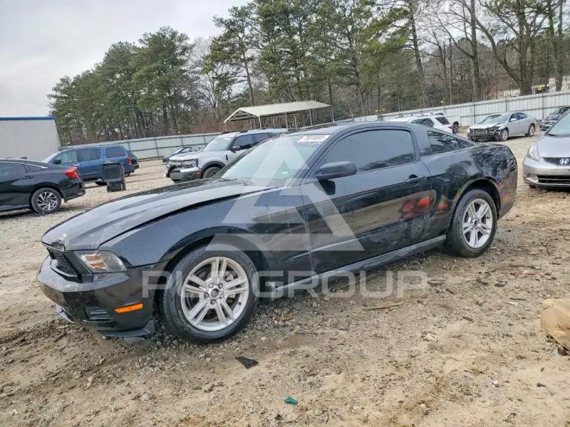 2010 Ford MUSTANG photo