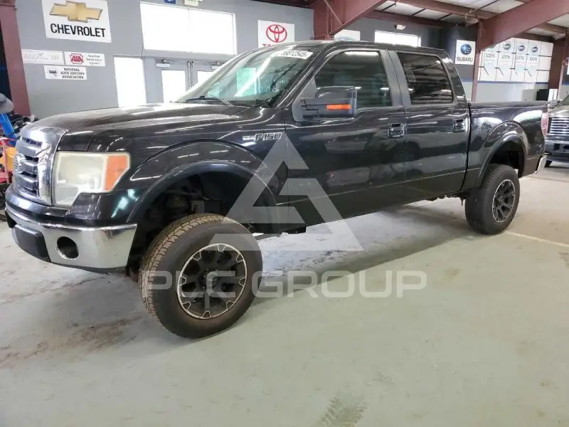 2010 Ford F-150 photo
