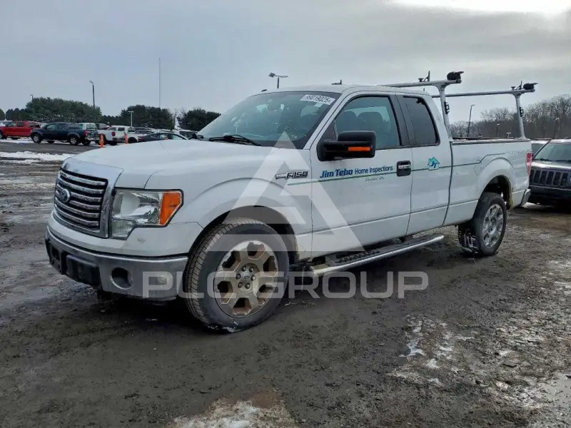 2010 Ford F-150 photo