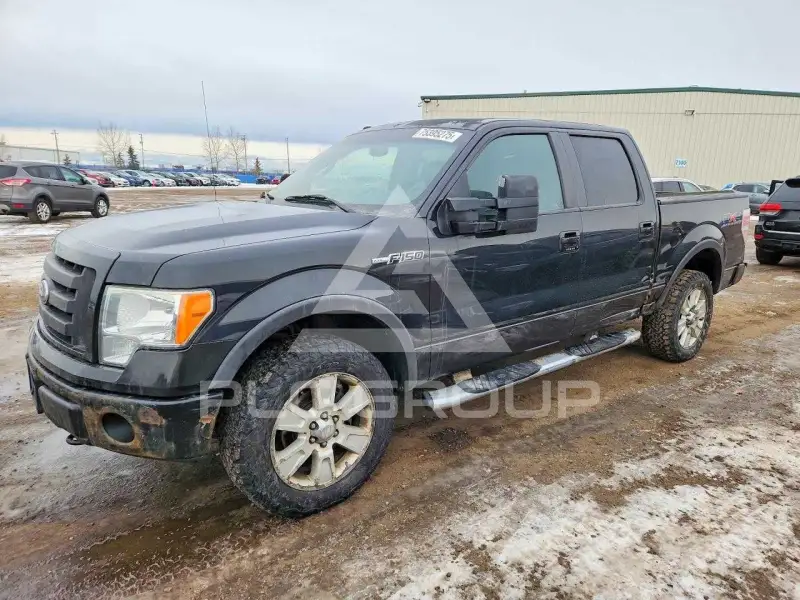 2010 Ford F-150 фото