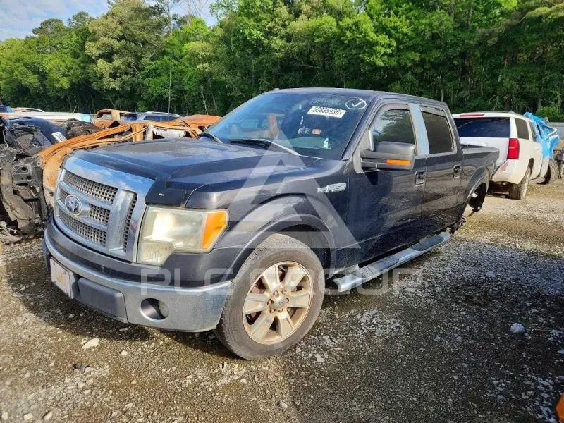 2010 Ford F-150 photo