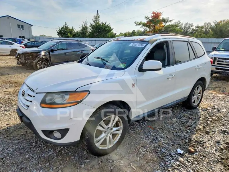 2010 Hyundai Santa Fe фото