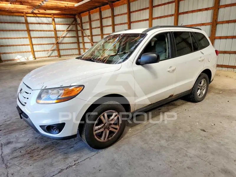 2010 Hyundai Santa Fe фото